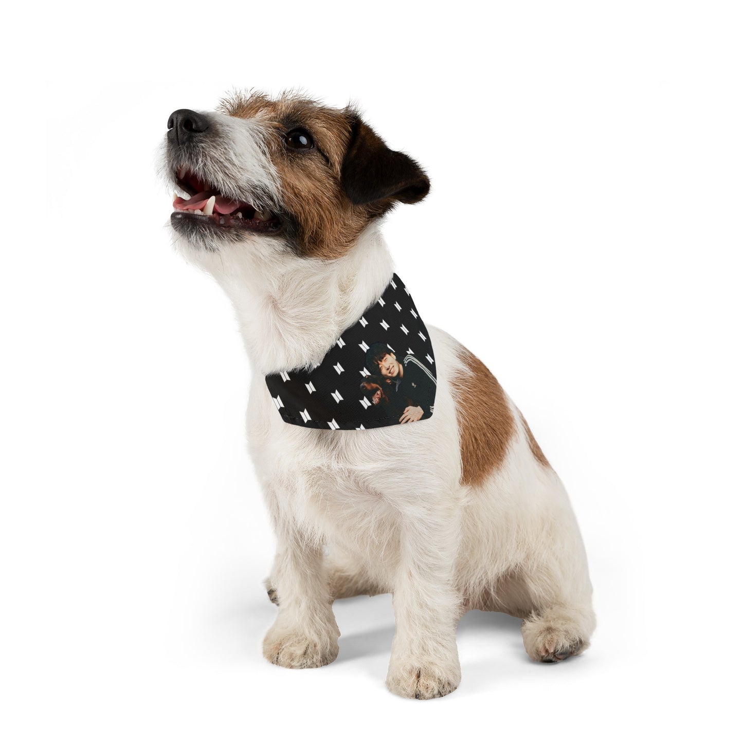 Custom Personalized Pet Bandana Collar