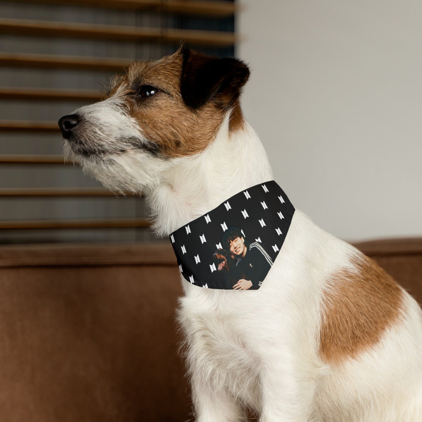 Custom Personalized Pet Bandana Collar